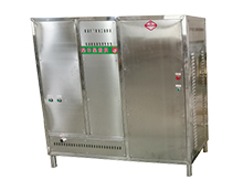 电、燃气蒸汽发生器